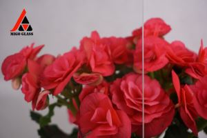 Luaj ntab iav hnub ci