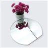 Aluminum vs Silver Mirror